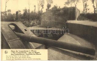 Moere, The Leugenboom gun