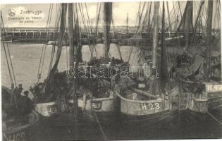 Zeebrugge, Chaloupes au bassin de peche / fishing boats