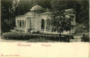 Marianske Lazne, Marienbad; Waldquelle / well