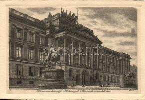 Braunschweig, Herzogl. Residenzschloss / castle, etching
