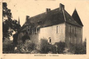 Monthelon, Chateau / castle
