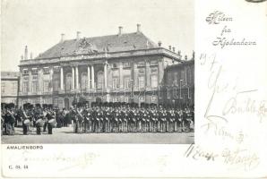 Copenhagen, Kobehavn; Amelienborg / castle, guards