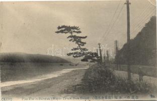 Shirataki, way to Taruni from Shioya, pine tree