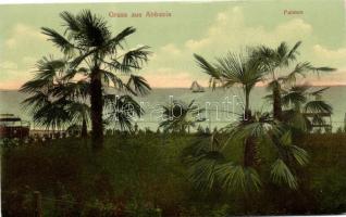 Abbazia, pálafák, Abbazia, palm trees