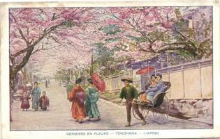 Yokohama, blooming cherry tree