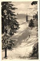 Sudelfeld, Waldkopf, skiers