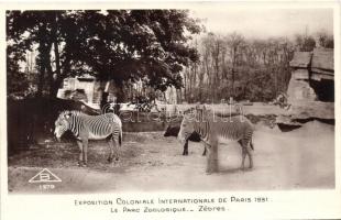1931 Paris, Colonial Exposition, Zoological park, zebras
