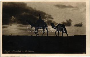 Eventide in the Desert, camels