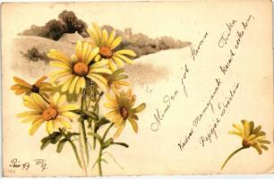 1899 Flower, landscape, litho