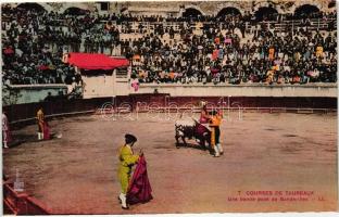 Bikaviadal, torreádor, 7. Courses de Taureaux, Une bonne pose de Banderilles / bullfighting, toreador