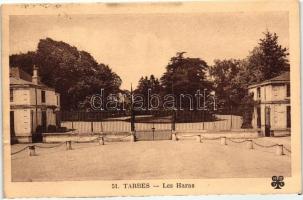 Tarbes, Les Haras / stud farm