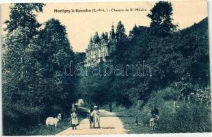 Montigny-le-Gannelon, Chemin de Ste. Hilaire / road