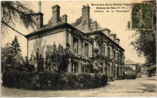 Boissy-le-Sec, Chateau de la Courangere / castle