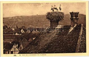 Alsace, stork nest