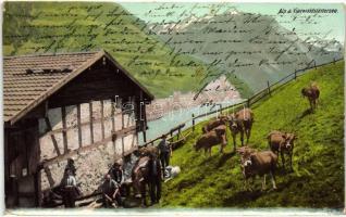 Lake Lucerne, Vierwaldstättersee;