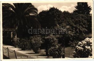 Mainau, Palmenhain / palm trees