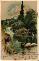 Landscape, Winkler &amp; Schorn Mondschein-Postkarte Serie XV. 99115. silver decoration litho