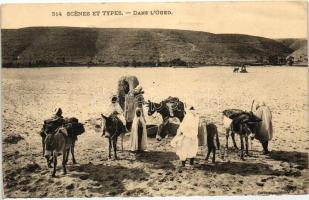 Oued, folklore, donkey camp