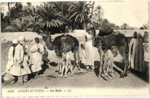 Scenes et Types 6112. / Arabian folklore, camel