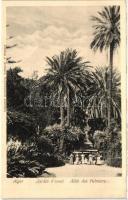 Algiers, Park, palm trees