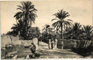 Biskra, palm road