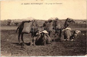 Moroccon folklore, camels