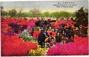Tokyo, Hibiya Park, Azalea flowers, Tokió, Hibiya Park, Azálea viráok