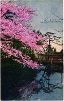 Tokyo, Shiba Park, Cherry blossoms, Tokió, Shiba park, cseresznyevirágzás