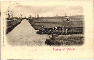Groeten uit Holland / Dutch landscape