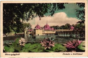 Hévíz, lake with the bathing house, lotus flowers, Hévíz-gyógyfürdő, tórészlet a fürdőházzal, lótuszvirág