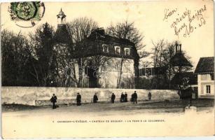 Germigny-l'Éveque, Chateau de Bossuet, Tour, Colombier / castle, tower, dovecote