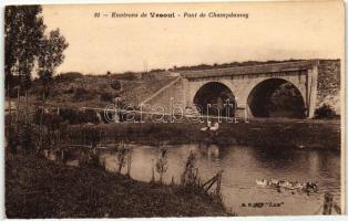Vesoul, Pont de Chamdamoy / bridge