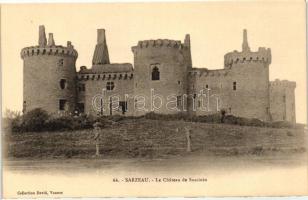 Sarzeau, Chateau de Suscinio / castle