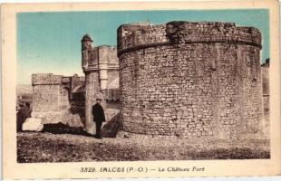 Les Salces, Chateau Fort / castle way