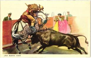 Bikaviadal, Un buena vara / bull fight