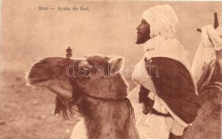 Arabe de Sud / Camel, Arabian folklore