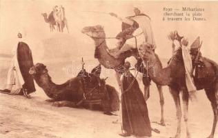 Méharistes cherchant la piste a travers les Dunes / Camel cavalry seeking the trail through the Dunes