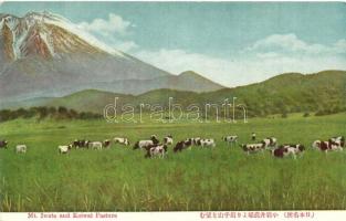 Mount Iwate and Koiwai Pasture