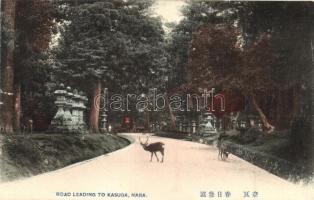 Nara, Road leading to Kasuga