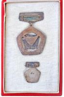 &quot;A Szakma Kiváló Brigádja&quot; jelvény, miniatűrrel