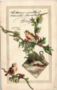 Vörösbegy, madár, piros bogyós növény, házikó Emb. litho, Bird; European Robin, red berries, cottage Emb. litho